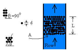 conclusion for packed bed experiment